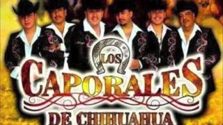 Los Caporales De Chihuahua Echame Ami La Culpa [upl. by Lyrred]