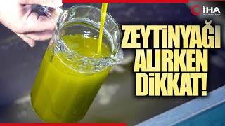 Zeytinyağı Alırken Dikkat Sahtesi Nasıl Anlaşılır [upl. by Idurt451]