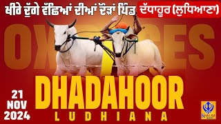 🔴Live Dhadahoor  Ludhiana  ਖੀਰੇ ਦੁੱਗੇ ਵੱਛਿਆਂ ਦੀਆਂ ਦੌੜਾਂ  Ox Races  21 Nov 2024 [upl. by Inafit]