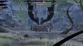 The Elder Scrolls Online  Beta  Dark Anchor Ritual [upl. by Cela827]