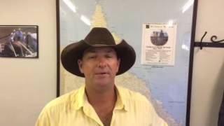 Gracemere Cattle Sale 021216 Market Report [upl. by Nesyla113]