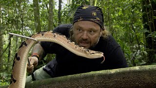 A SERPENTE MAIS TEMIDA DA AMAZÔNIA  RICHARD RASMUSSEN [upl. by Charissa]