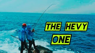 𝗧𝗛𝗘 𝗛𝗘𝗩𝗬 𝗢𝗡𝗘 𝗢𝗡 𝗦𝗧𝗥𝗜𝗞𝗘 🔥🔥salalah fishing fish viral beach youtube trending viralvideo [upl. by Nagn]