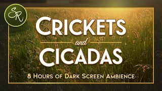 Crickets amp Cicadas Chirping Ambient Sounds for Deep Sleep amp Relaxation  Dark Screen Sleep 8 Hours [upl. by Wanfried]