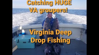 HUGE GROUPERS Virginia Deep Drop Fishing for Grouper [upl. by Atnaloj503]