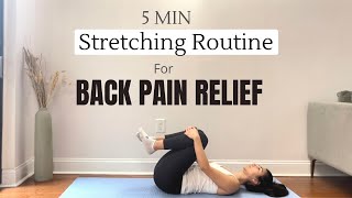 5 MIN LOWER BACK STRETCHING ROUTINE  For Pain and Stiffness  CancerFitness [upl. by Nessim200]