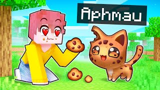 Becoming A YUMMY Cookie Kitten In MINECRAFT [upl. by Nit]