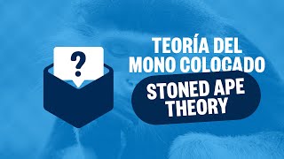 La Teoría del Mono Colocado Stoned Ape Theory  Consultorio Drogopedia [upl. by Aehsrop397]