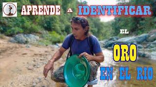 COMO IDENTIFICAR EL ORO EN EL RIO [upl. by Eugenio]