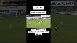 Errores de Ochoa en los goles de Honduras  Malagón debe ser el TITULAR futbol football [upl. by Sissy]