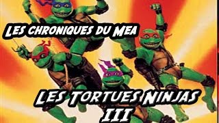 Les Tortues Ninjas 3 1993  Les Chroniques du Mea [upl. by Carlita]