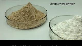 ecdysterone extract [upl. by Garmaise969]