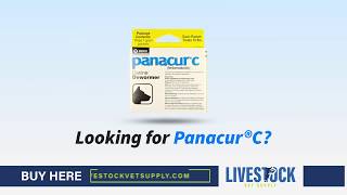 Buy Panacur C Canine Dewormer [upl. by Eirehc621]