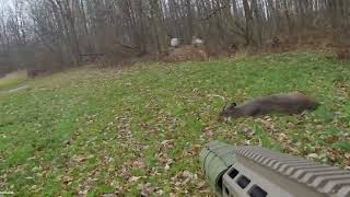 Suppressed 350 Legend vs Buck Opening Day Gun Season [upl. by Ahsenar]