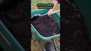 Spread Grass Seed amp Soil Fast  shorts soil maintenance lawn tips [upl. by Dranreb]