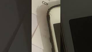 Earwig run around iPhone shortfeed insects ytshort nature savenature [upl. by Dabbs]