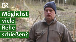 Jäger schießt Rehwild Gesunder Wald ohne Zaun  Wald schützen  Jagd  Unser Land  BR [upl. by Yeznil]