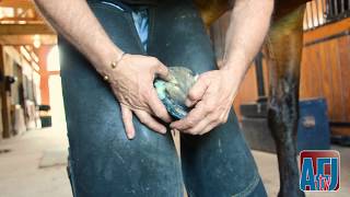 Using Copper Sulfate Spray to Address Hoof Issues [upl. by Gianni]