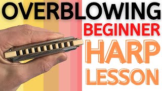 How To Overblow On Harmonica  Beginner StepbyStep Guide to Overblowing [upl. by Leraj88]