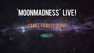 Moonmadness Live Digest 4th September 2022 [upl. by Alleram]