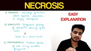 Necrosis  1  Pathology  EOMS [upl. by Aelber]