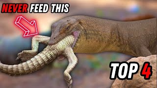 Top 5 Foods To NEVER Feed Your Monitor Lizard [upl. by Hairem]