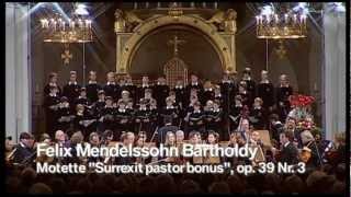 Motette quotSurrexit pastor bonusquot op 39 Nr 3 by Felix Mendelssohn Bartholdy [upl. by Rutra]