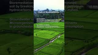 Uses of Bioremediation Importance  Concepts of Botany [upl. by Evangeline]