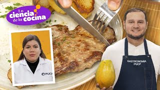 ¿Cómo ablandar carne con papaya  La Ciencia de la Cocina  T2 Episodio 3 [upl. by Ssitnerp]