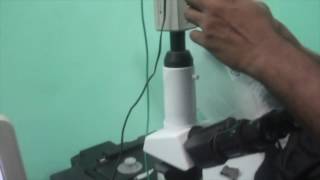 What is Inverted Metallurgical Microscope for Micro structure Analysis  Metrology Lab [upl. by Renie727]