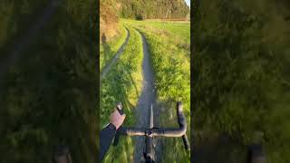 Gravel ride gravelbike cyclinglife nature cycling travel [upl. by Birgitta]