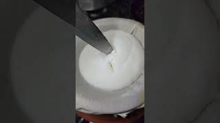 Thattu idli tamil tamilnadu tamilnews shortsyoutube viral shortsyoutube shortvideo mangoj [upl. by Hamner450]