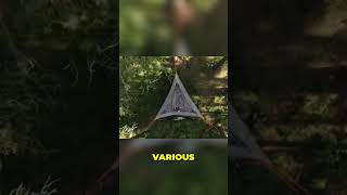 Elevate Your Camping Tentsile Stingray Tree Tent Review [upl. by Anilorak496]