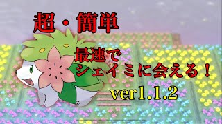 【BDSP】超簡易版！シェイミ捕まえる バグ 【ダイパリメイク】ver112 [upl. by Viguerie]