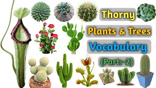 Plants amp Trees Vocabulary Part2 ll Thorny Plants amp Trees Name In English With Pictures [upl. by Nesiaj336]