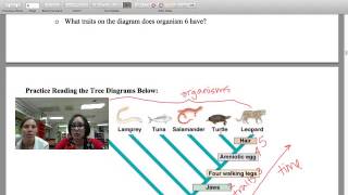 Introduction to Phylogeny amp Cladograms [upl. by Rovert]