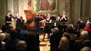 Georg Philipp Telemann Doppelkonzert emoll für BlockflöteQuerflöte [upl. by Chas]