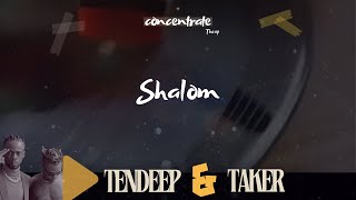 Tendeep amp Taker Sounds  Shalom Official Audio [upl. by Ahsakal]