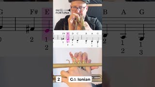 How to play G Major scale on Trumpet [upl. by Eilsew865]