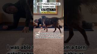 BEST FOAM ROLLING EXERCISES for RUNNERs 🏃 🏃‍♀️  IT Band Release [upl. by Oedama288]