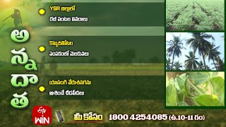 2nd November 2024  Annadata  అన్నదాత  Full Episode  ETV Telugu [upl. by Irma]