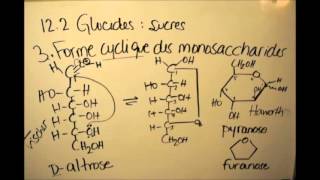 122c Glucides  Forme cyclique des monosaccharides [upl. by Adria]