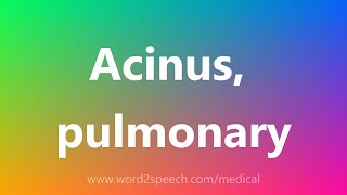 Acinus pulmonary  Medical Meaning [upl. by Yemirej564]