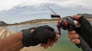 baitcasting pesca del blackbass en septiembre con paseantes [upl. by Rahs819]