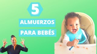 COMIDAS PARA BEBÉS 1 AÑO  RECETAS PARA BEBÉS BLW  MENÚ SALUDABLE 🥣👶🏻 [upl. by Ahsille]