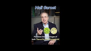 Mali Garnet possesses the Advantages of both Tsavorite and Demantoid [upl. by Dacey]