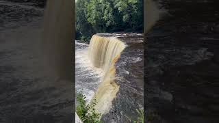 Tahquamenon Falls State Park Paradise Michigan shorts [upl. by Aric221]