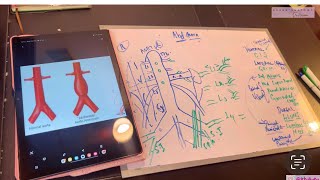 Abdominal Aorta with Mnemonics  Best concept [upl. by Ahtibbat956]