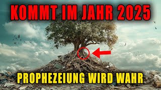 Das letzte Zeichen ist da HopiProphezeiungen über unser Schicksal  Prophezeiung 2025 [upl. by Anis781]