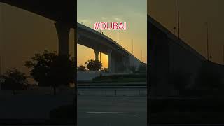 Weekend morning road trips are fun in dubai mydubai youtube shortvideo adventure travel [upl. by Hartzell339]